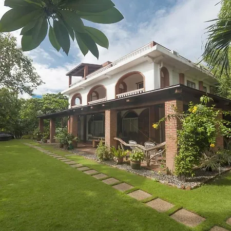 Amihan-Home-2